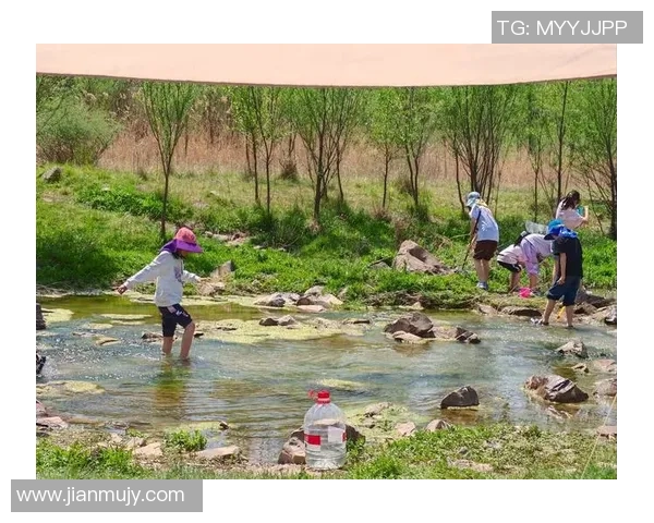 享受大自然魅力，探秘户外活动的无限可能与健康生活方式