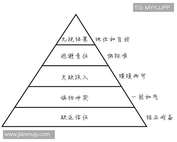 重庆排球队的团队协作精神与排球竞技的完美结合探讨
